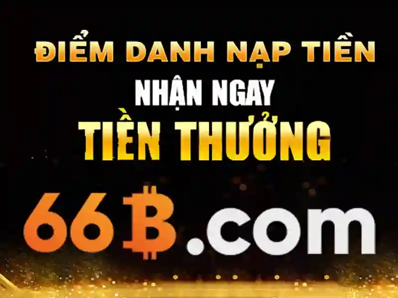 66B là gì?