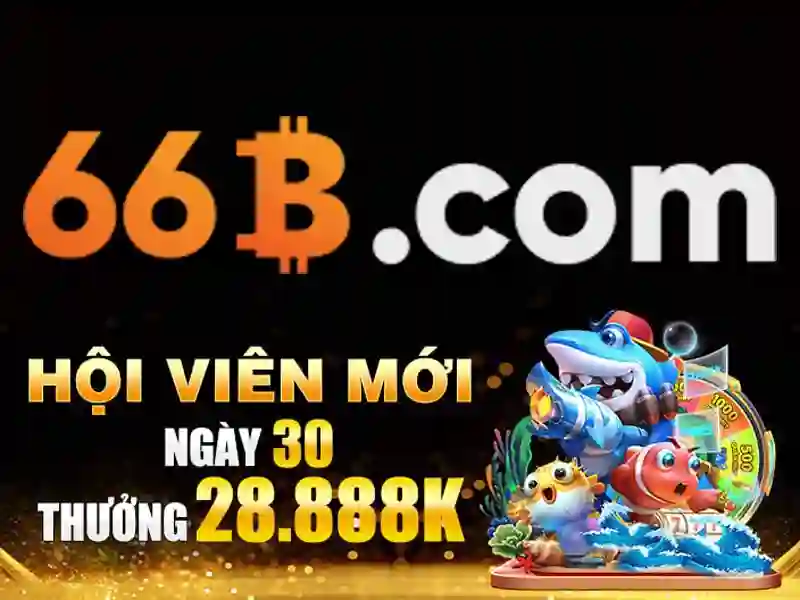 Sản phẩm và dịch vụ cốt lõi: ứng dụng thực tế của 66b bị chặn