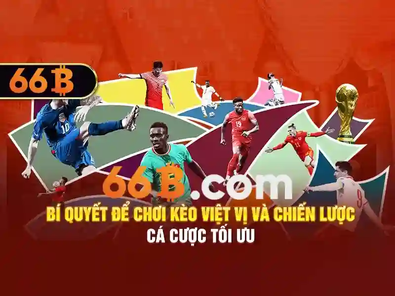 66b hạ long – hành trình thương hiệu và trải nghiệm đỉnh cao