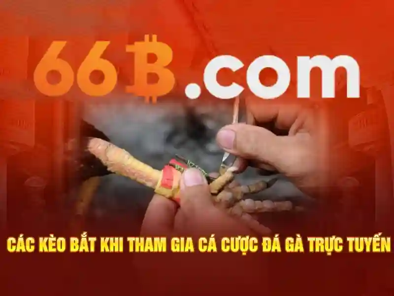 66b nguyễn sỹ sách p15 tân bình – Sản phẩm và dịch vụ căn bản của 66b nguyễn sỹ sách p15 tân bình