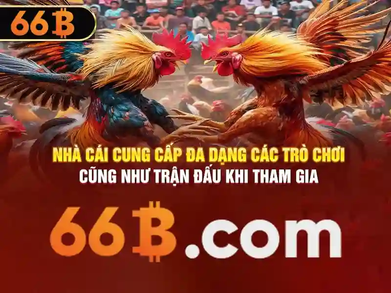 Link dự phòng 66b – Giải pháp an toàn và linh hoạt cho dữ liệu