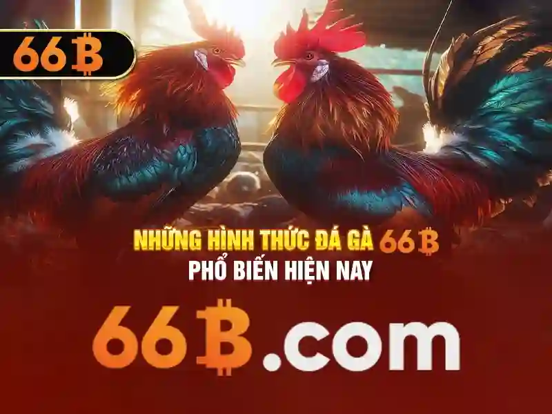 Nguồn gốc và sứ mệnh của 66b hoàn tiền
