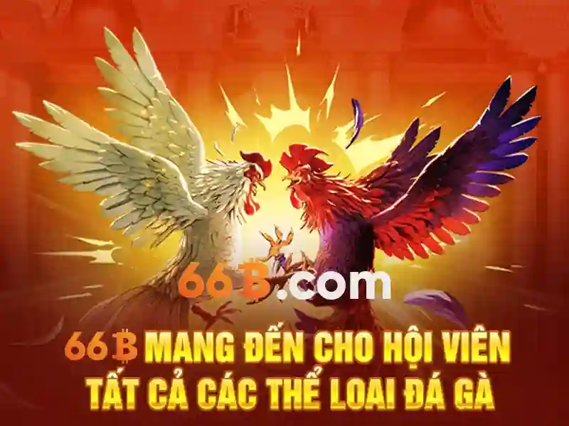 66b có giấy phép không: đánh giá chi tiết và trải nghiệm người dùng
