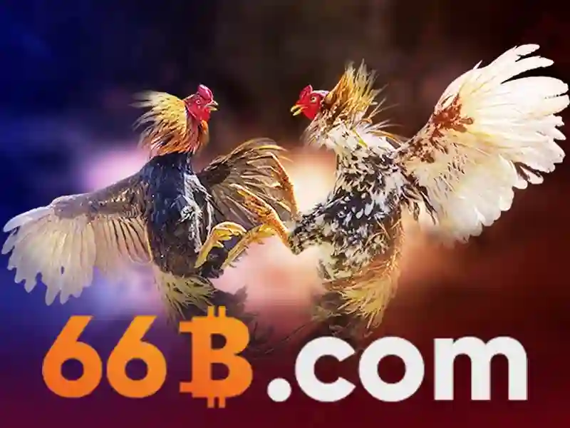 66b và cuộc hành trình của một con số bí ẩn