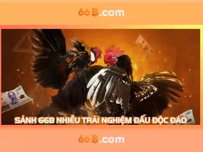 Khám phá 66b trong công nghệ và dữ liệu