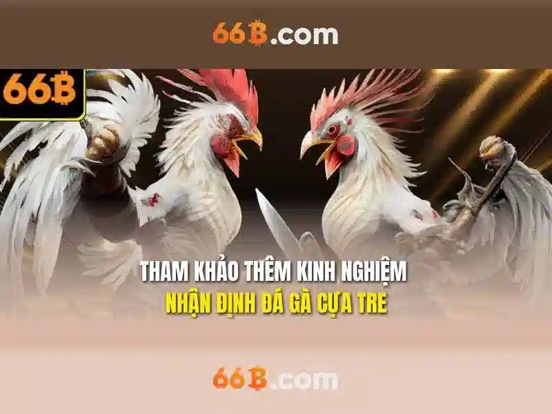 Ưu và nhược điểm của 66B