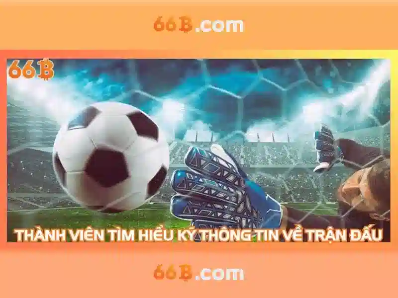 66b như một hiện tượng văn hóa và ngôn ngữ