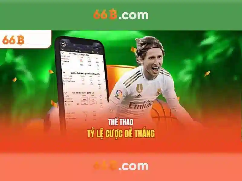 Trải nghiệm người dùng và phản hồi cộng đồng