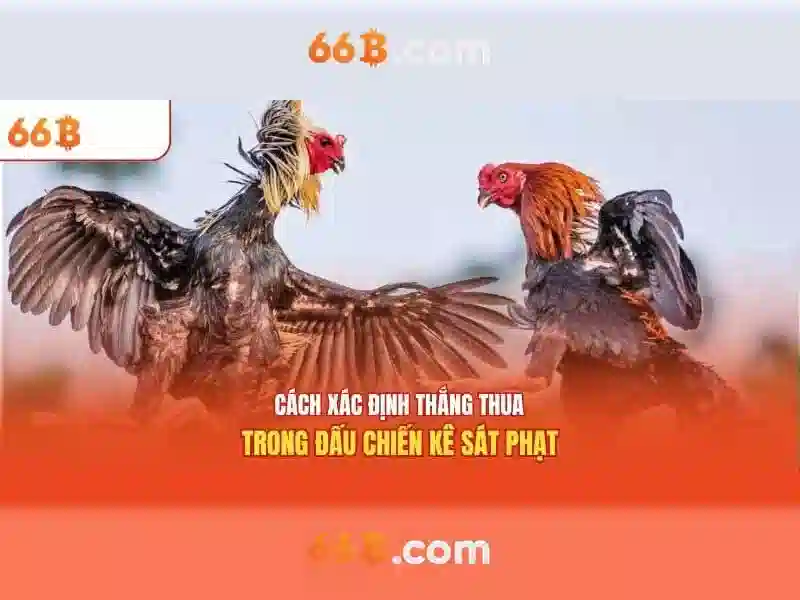 66B: mô hình ngôn ngữ quy mô lớn cho thời đại AI