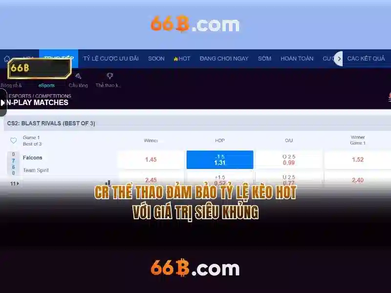 Cấu trúc và đặc điểm của 66b