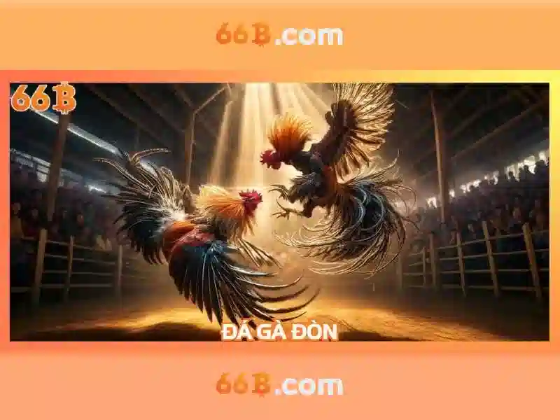 66b: Dấu ấn và nguồn gốc