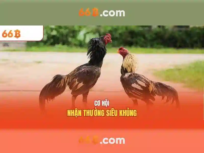 66b: Mô hình 66 tỷ tham số và hành trình của trí tuệ nhân tạo