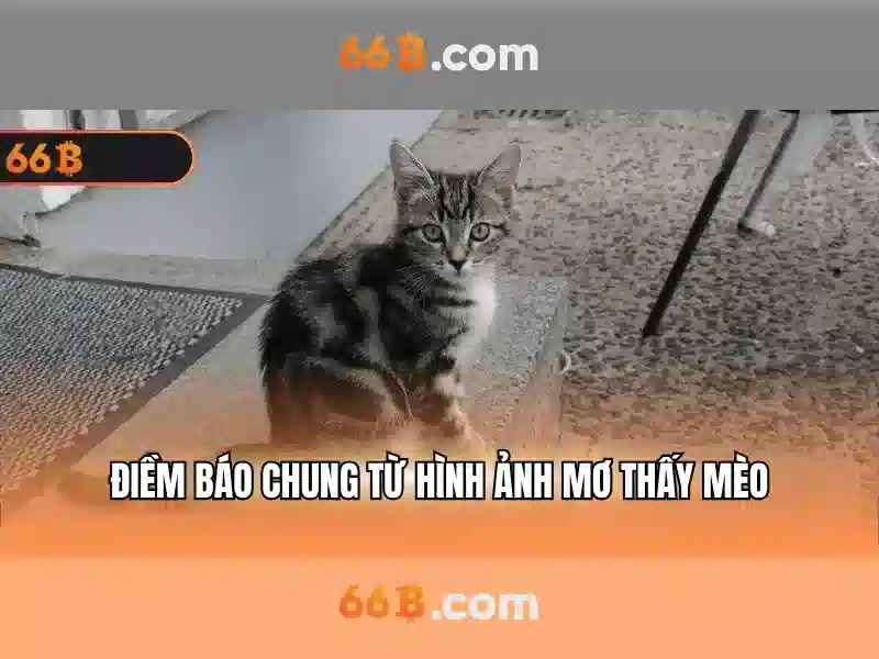 66b nhentai – Tổng quan, trải nghiệm và tương lai