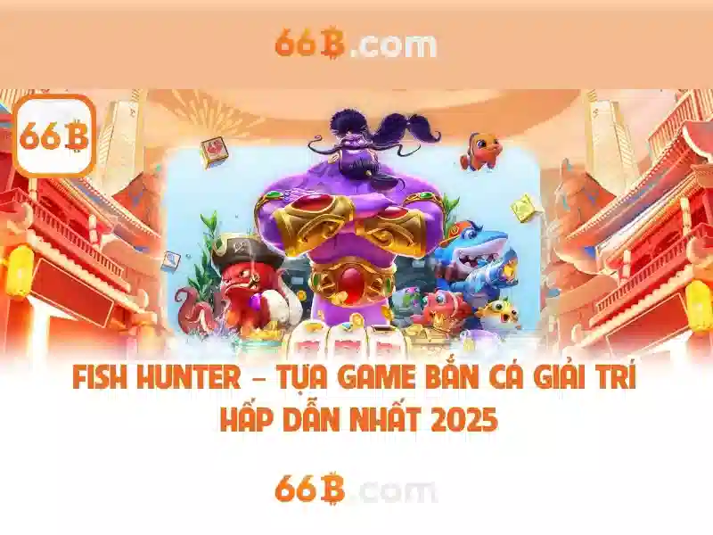 Những đặc điểm nổi bật của 66b