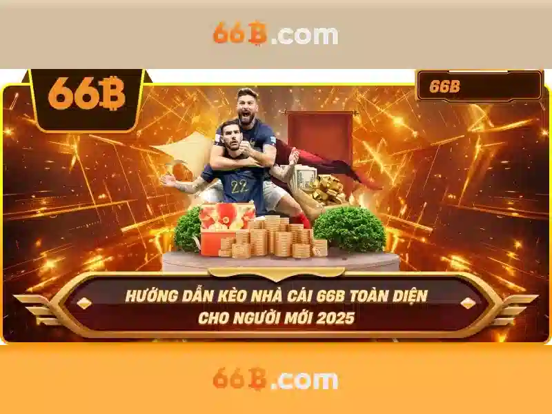 66B là gì và tại sao nó quan trọng?
