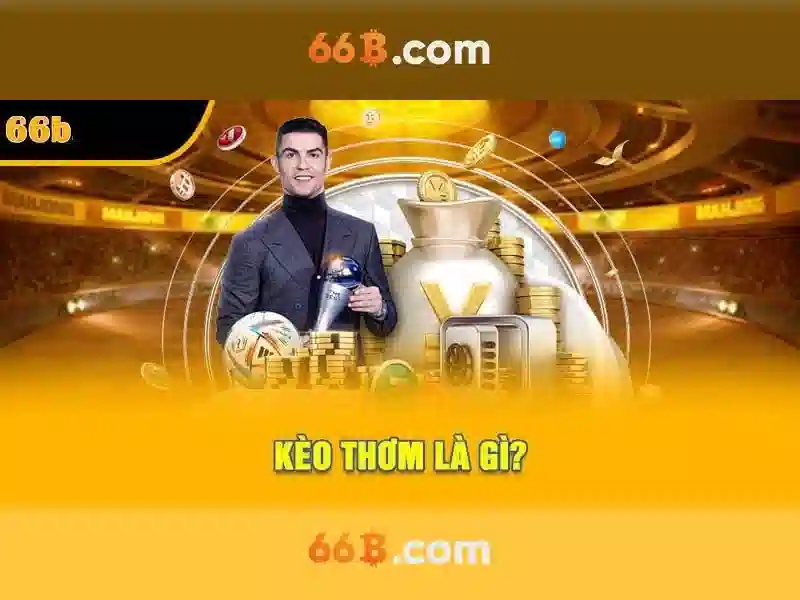 66b: một khái niệm sáng tạo và ứng dụng