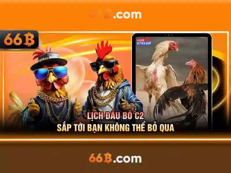Ứng dụng phổ biến