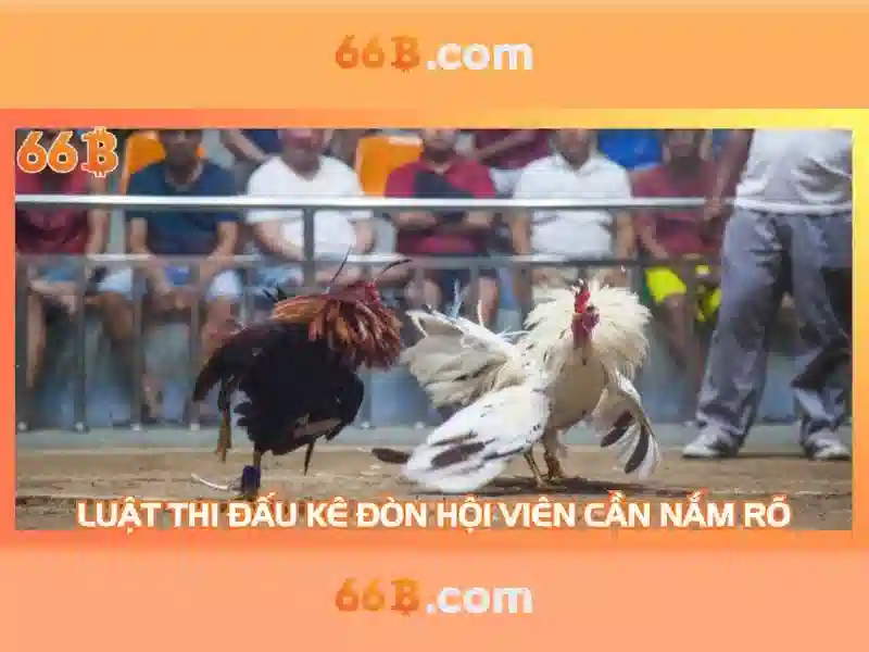 66b army – Xây dựng cộng đồng sáng tạo và giá trị thương hiệu