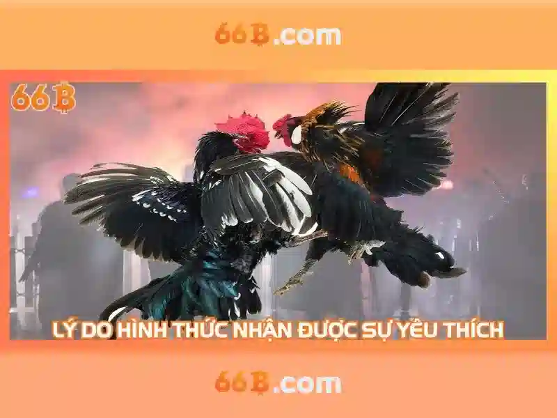 66b nguyễn sỹ sách là gì – Khám phá và ứng dụng