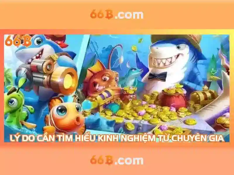 Khả năng và thách thức của 66b