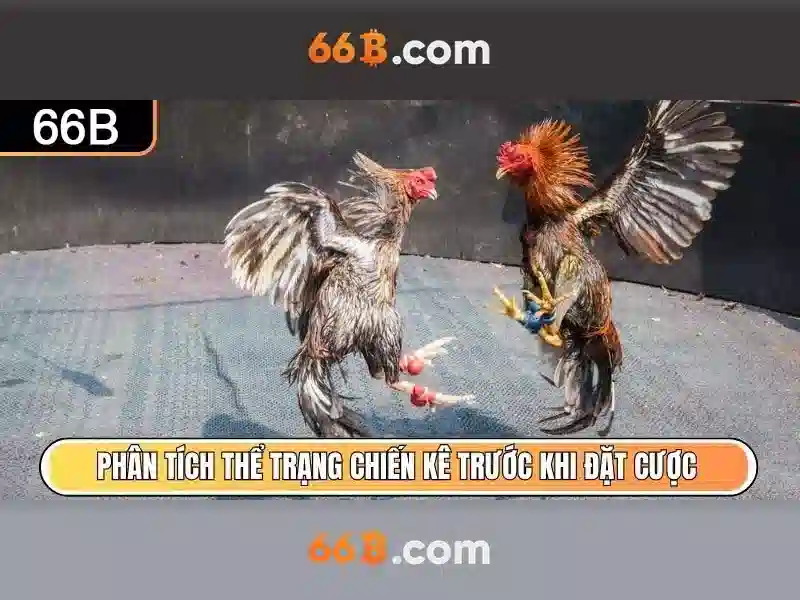 66B là gì và sức mạnh của mô hình ngôn ngữ quy mô lớn