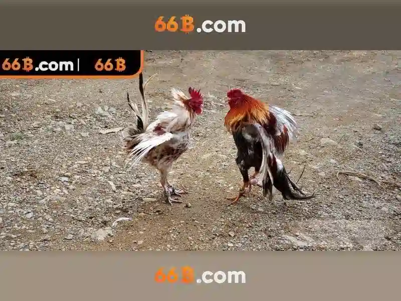 66B: Khai phá mô hình AI có 66 tỷ tham số
