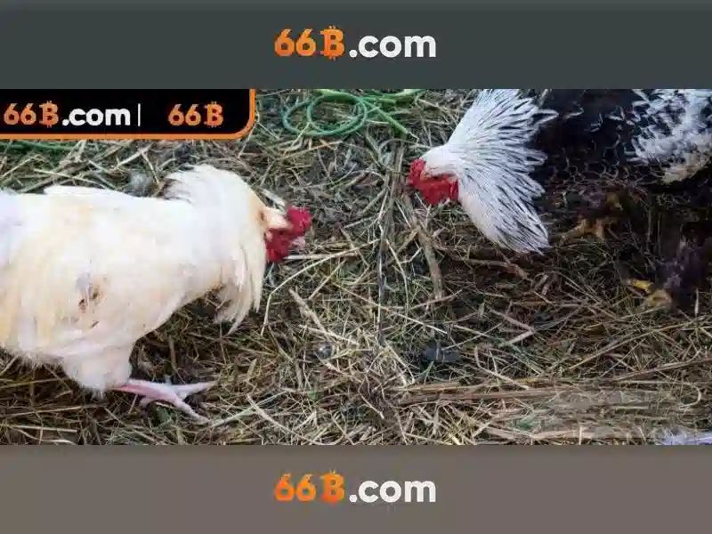 Kiến trúc và dữ liệu của 66b\n<h3><b>Ứng dụng và thách thức</b></h3>\n<li style=