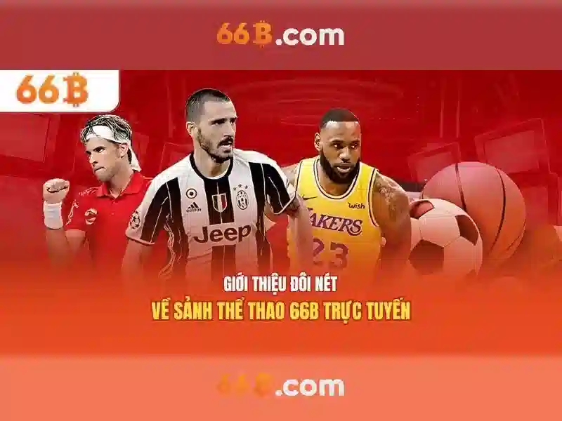 Giới thiệu về 66B