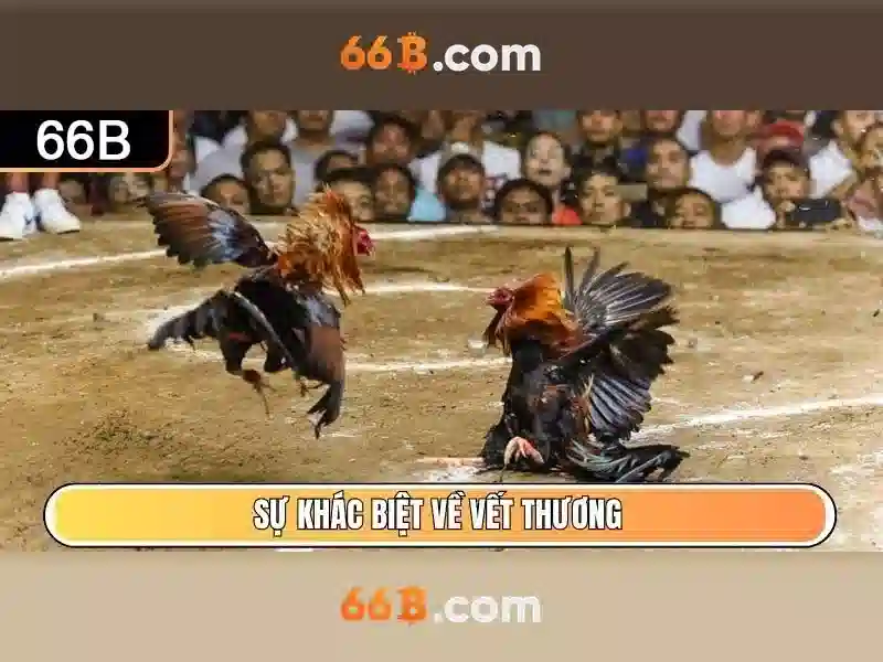 Khả năng và giới hạn