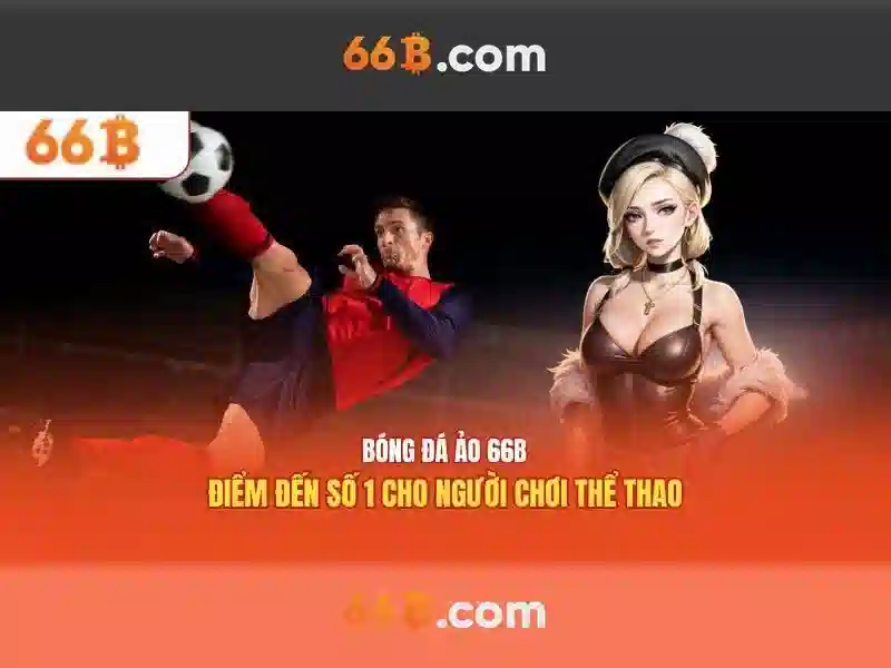Tương lai của 66b và quản trị đào tạo