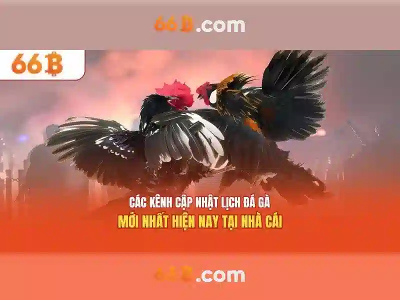 Kiến trúc và cách tập huấn\n<h>Khả năng xử lý đa ngôn ngữ</h>\n<li style=