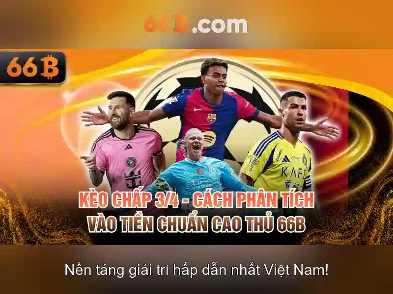 66B là gì và tại sao nó quan trọng