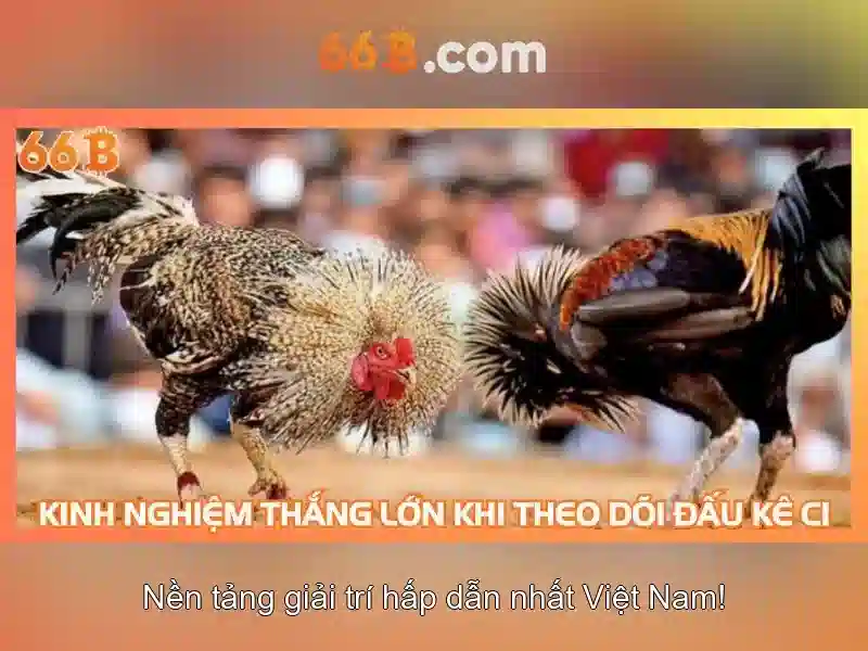 66b: một cái nhìn tổng quan về mô hình ngôn ngữ 66 tỷ tham số