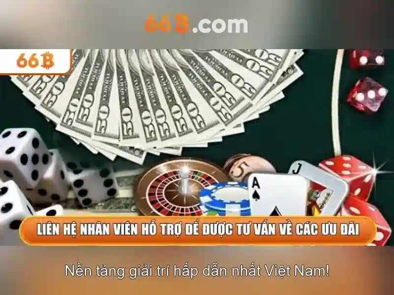 66b và khái niệm