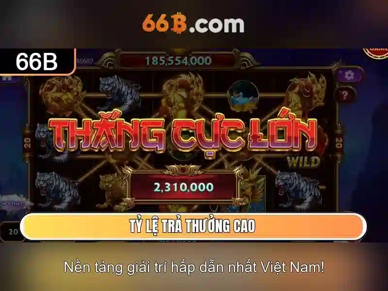 Giới thiệu về 66B