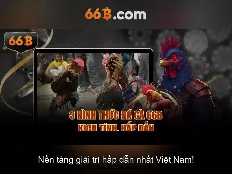 Kết luận và triển vọng