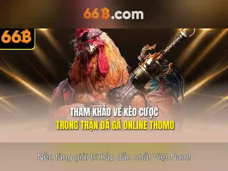 66b là gì và các ứng dụng của nó