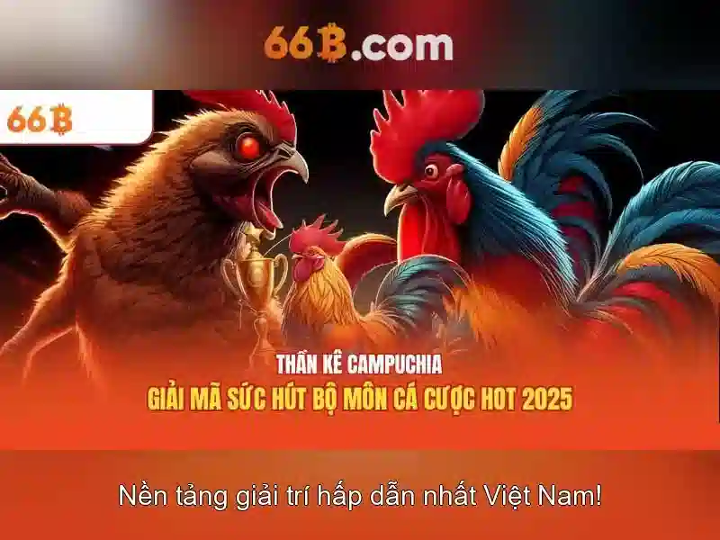 Khả năng ứng dụng