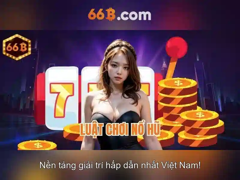66B là gì và tại sao nó quan trọng