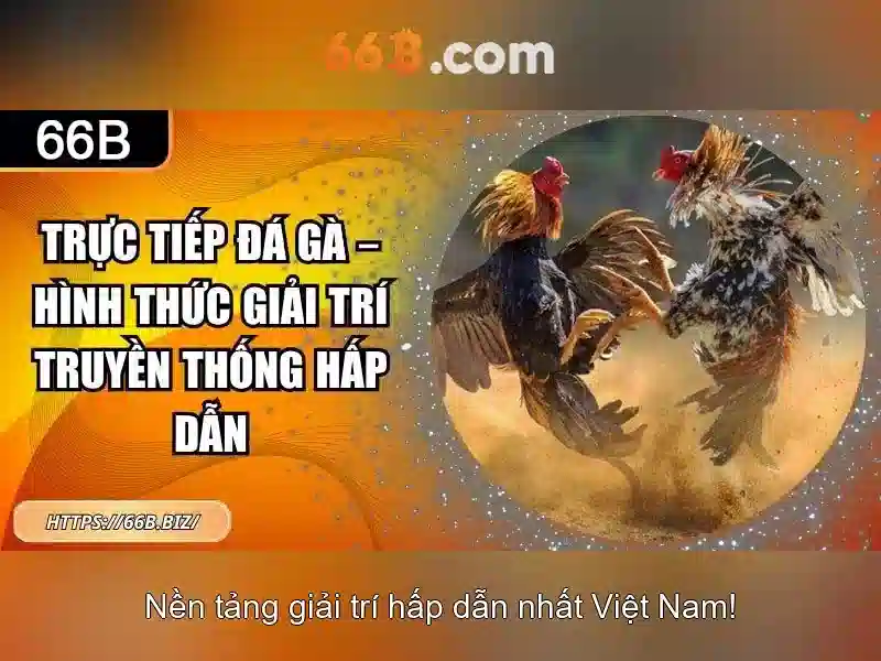 Cau tao kich thuoc va kiem tra chat luong