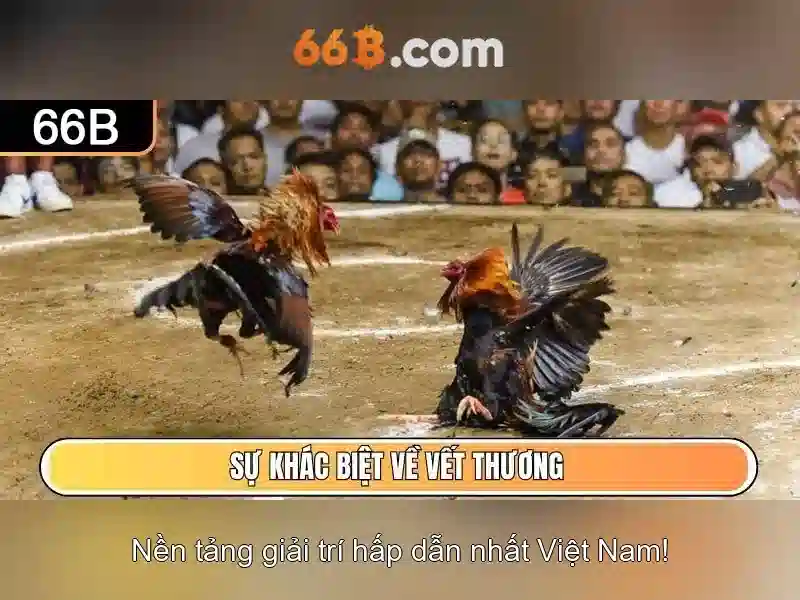 66b: một khái niệm sáng tạo và ứng dụng