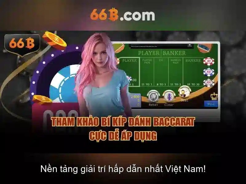 66B là gì và các đặc điểm nổi bật