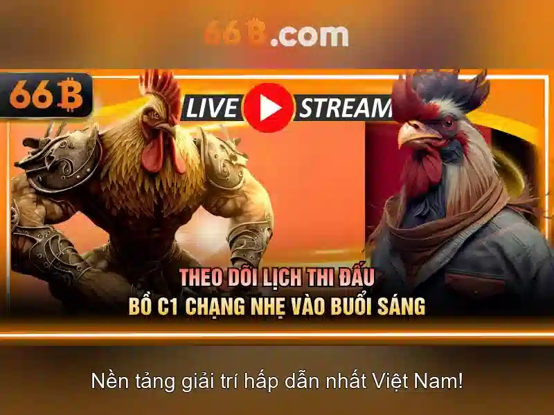Ứng dụng thực tế của 66B trong doanh nghiệp