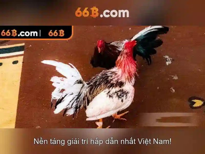 66B: mô hình ngôn ngữ 66 tỷ tham số và tương lai của AI