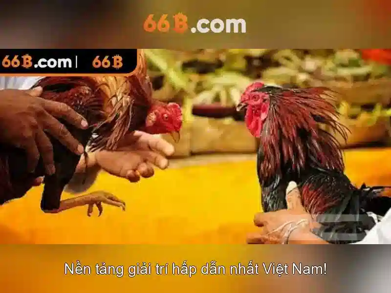 66B: Mô hình ngôn ngữ quy mô lớn 66 tỷ tham số