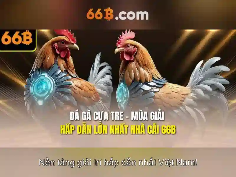 66b và những thách thức cùng cơ hội