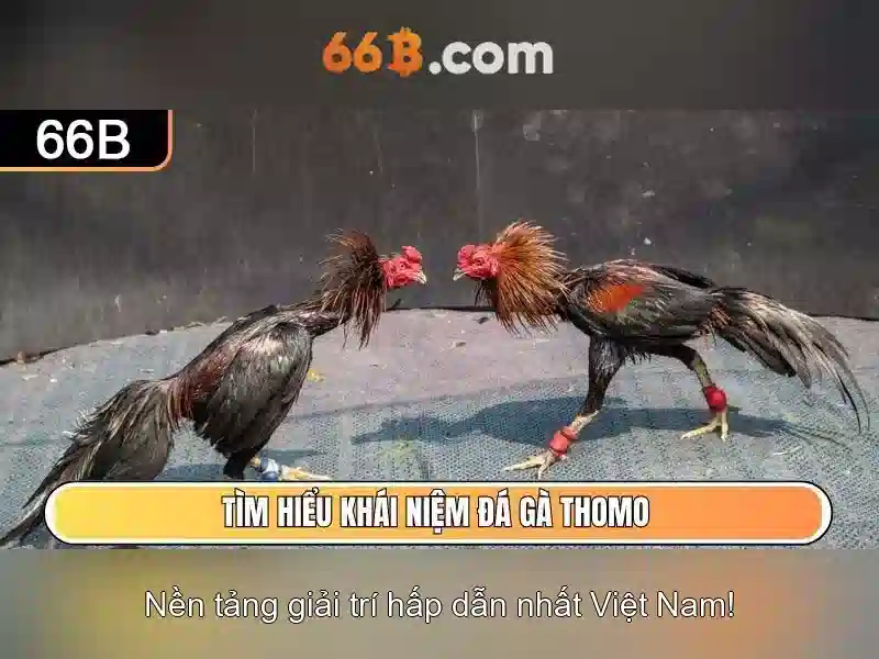 Mô hình 66B: Tóm tắt và ứng dụng