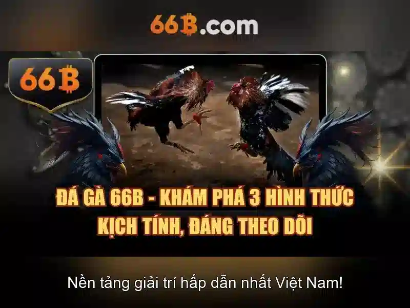 66B là gì? Khái niệm cơ bản về mô hình 66B