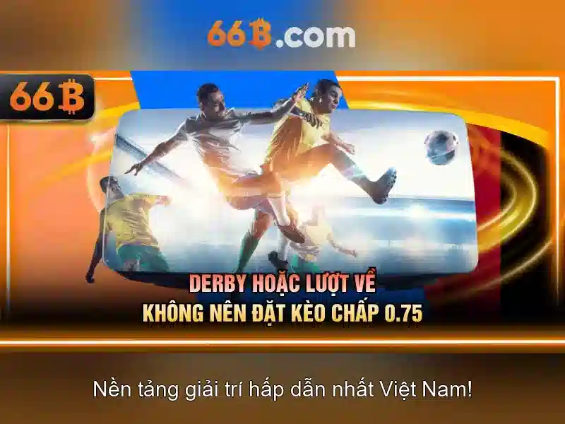 66b và khái niệm