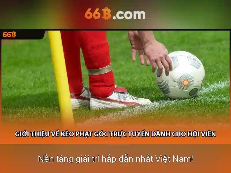 Hướng phát triển tương lai cho 66B